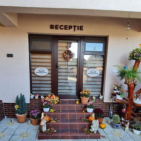 Splendid House Hotel Făgăraş Eksteriør billede