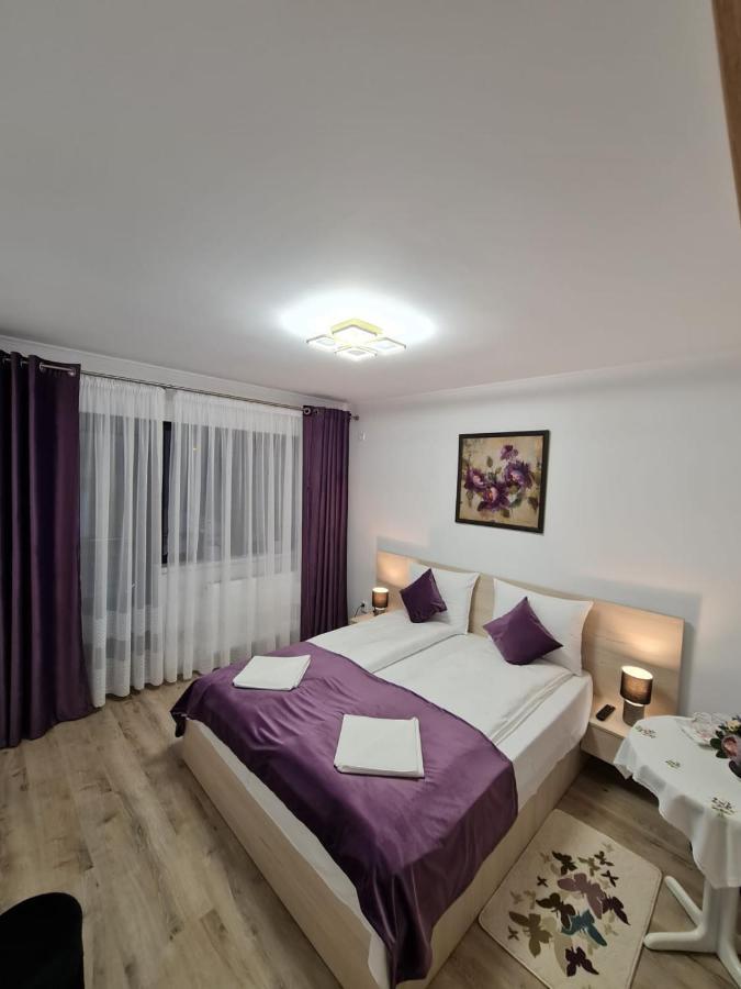 Splendid House Hotel Făgăraş Eksteriør billede