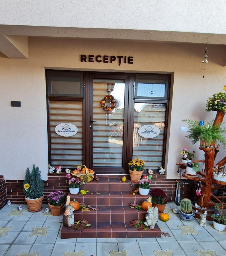 Splendid House Hotel Făgăraş Eksteriør billede