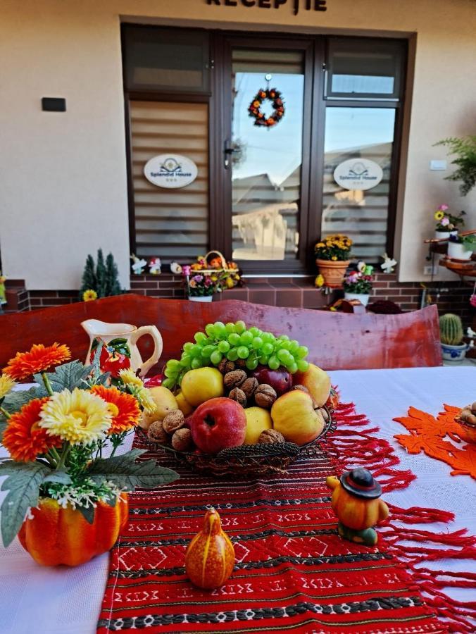 Splendid House Hotel Făgăraş Eksteriør billede